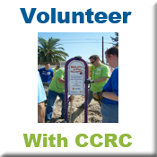volunteer